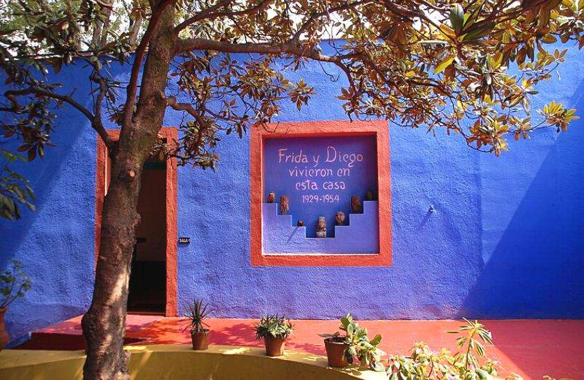 durante o dia, árvore em frente a casa azul, onde funciona museu frida kahlo, atrativo para quem busca o que fazer na cidade do méxico