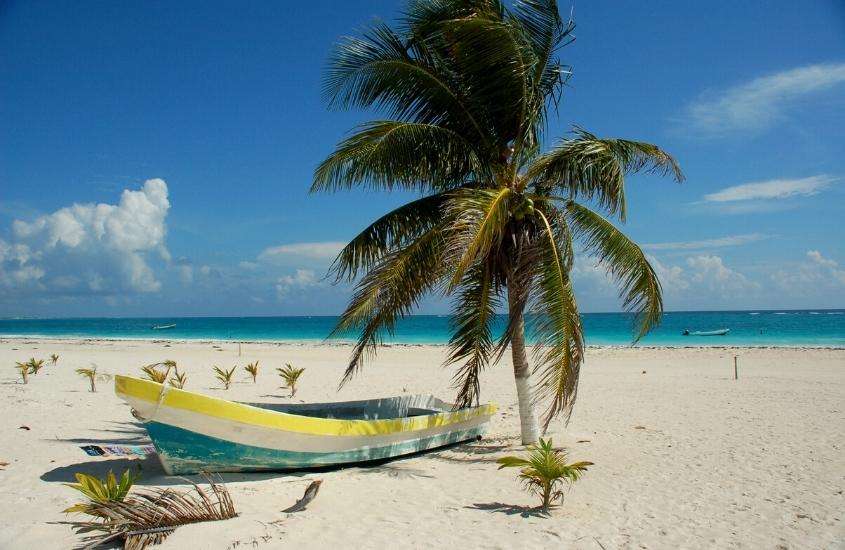 durante o dia, canoa amarela, branca e azul ao lado de coqueiro em areia de praia