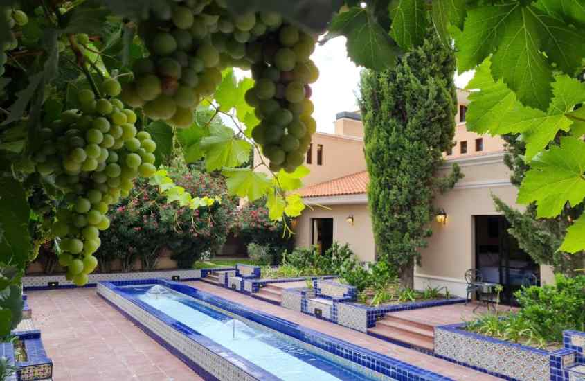 Em um dia de sol, área de lazer de um hotel vinícola em Mendoza com piscina, parreira de uvas verdes e plantas decorativas ao redor