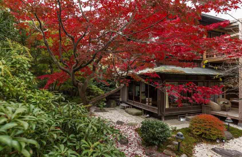 durante o dia, plantas e árvores com folhas vermelhas ao redor de ryokan