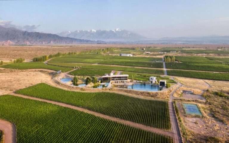 durante o dia, vista aérea de hotel rodeado por vinhedos em Mendoza