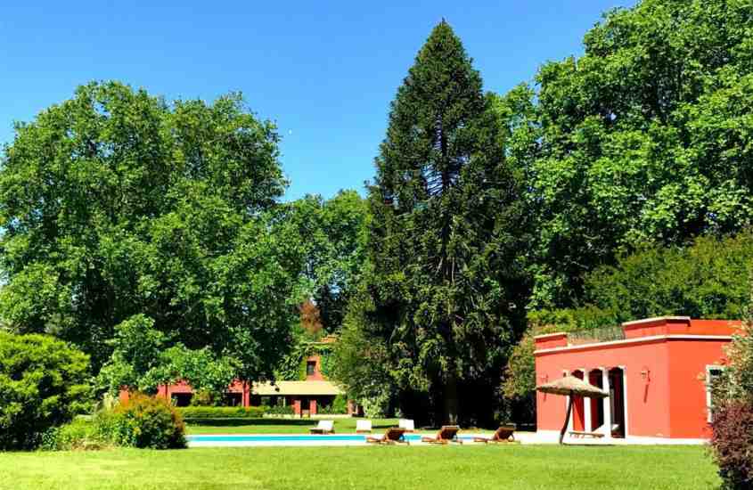 durante dia ensolarado, espreguiçadeiras em frente a piscina ao ar livre, rodeada por diversas árvores