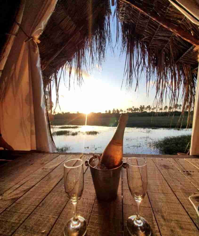 durante dia ensolarado, taças de vidro e garrafa de champanhe em chão de chalé de madeira com vista para um rio e diversas árvores