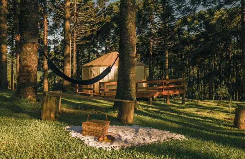durante o dia, cesta de piquenique em cima de canga, rede de descanso entre árvores e tenda com tablado de madeira em meio a araucárias