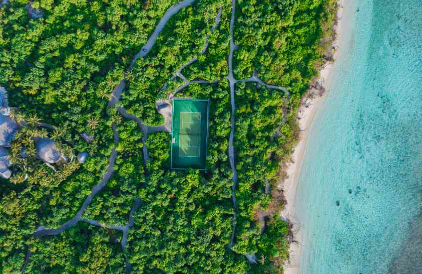 durante dia ensolarado, vista aérea de diversas árvores em frente ao mar em um das ilhas da polinésia francesa