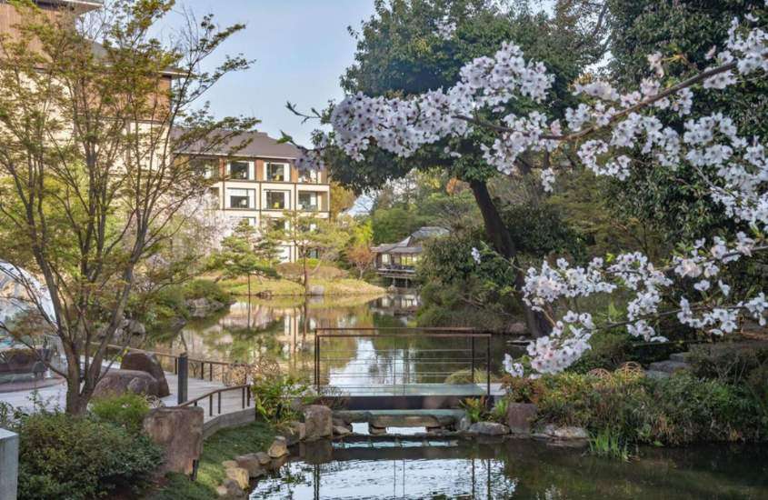 durante o dia, árvores com flores brancas ao redor de lago em um dos melhores hotéis em Kyoto