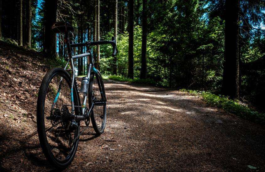 durante o dia, bicicleta azul e preta estacionada em trilha, cercada por árvores