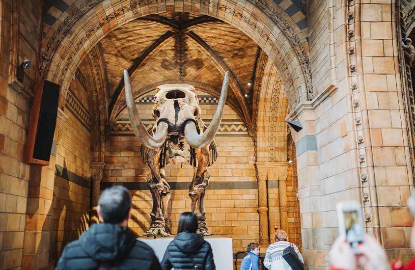 grupo de pessoas observando fóssil de dinossauro exposto em museu de história natural em South Kensington, um dos melhores lugares para ficar em Londres.