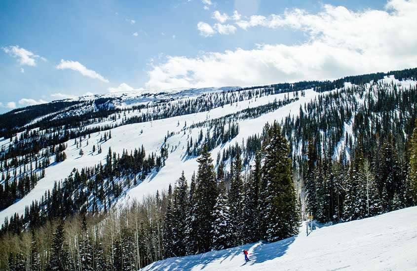 durante dia ensolarado, vista aérea de diversas árvores em montanha nevada em aspen, um dos melhores lugares para esquiar no mundo