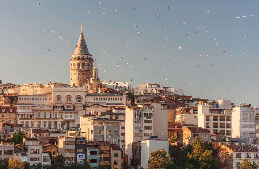 durante o dia, vista panorâmica de pássaros sobrevoando sobre prédios e torre de gálata em gálata, um lugar onde se hospedar em Istambul