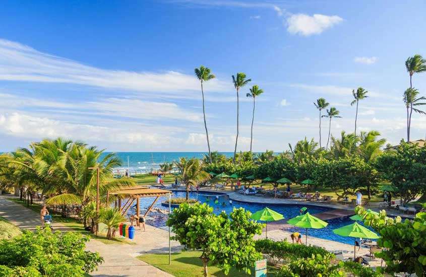 durante um dia ensolarado, árvores ao redor de grande piscina ao ar livre com vista para o mar em um dos hotéis na praia do cupe com com vista para o mar