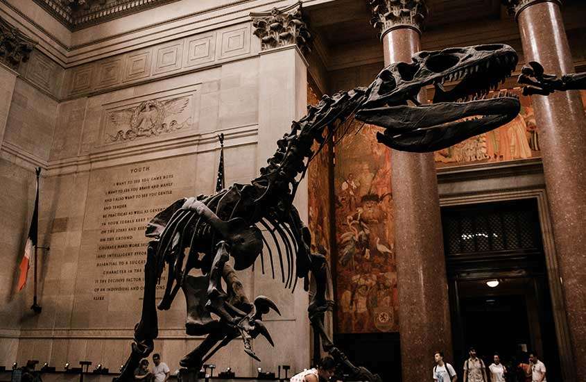 Interior do museu americano de história natural com fóssil de dinossauro, bandeira hasteada e pilastras de mármore vermelho