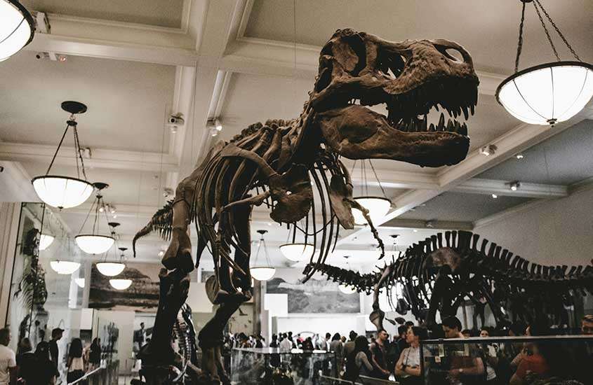 Pessoas observando fóssil de dinossauro no centro de salão de Museu Americano de História Natural