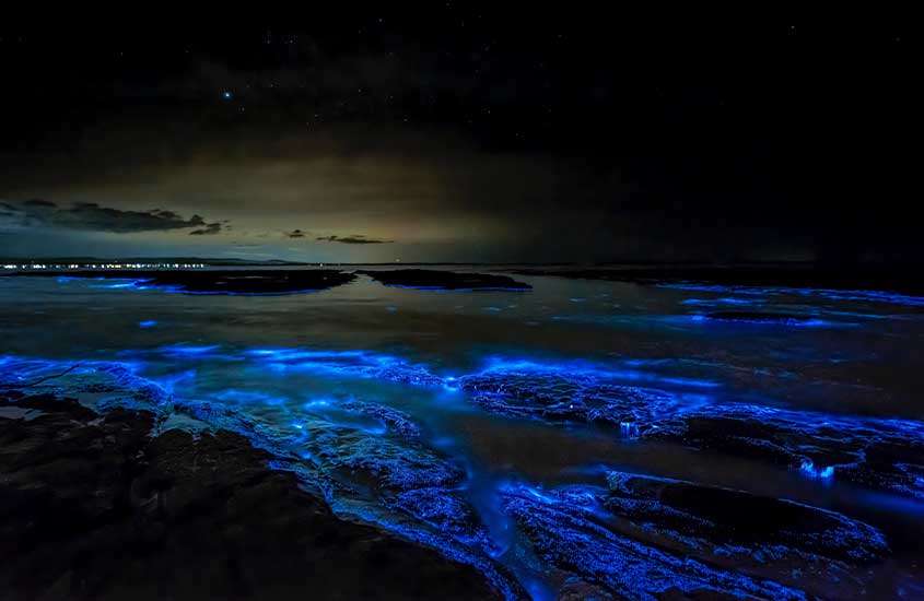 Espetáculo de bioluminescência durante a noite no mar da Ilha Vaadhoo, nas Ilhas Maldivas, com as águas brilhando em tons azulados, criando um cenário mágico.