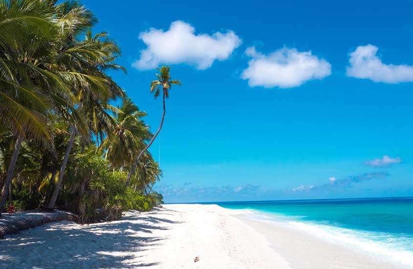 Vista panorâmica durante um dia ensolarado de árvores alinhadas às margens de uma praia das Maldivas deserta, transmitindo tranquilidade e beleza natural.