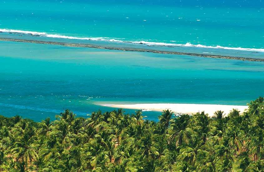 Vista aérea durante um dia ensolarado, diversos coqueiros em frente a mar de Praia do Gunga.