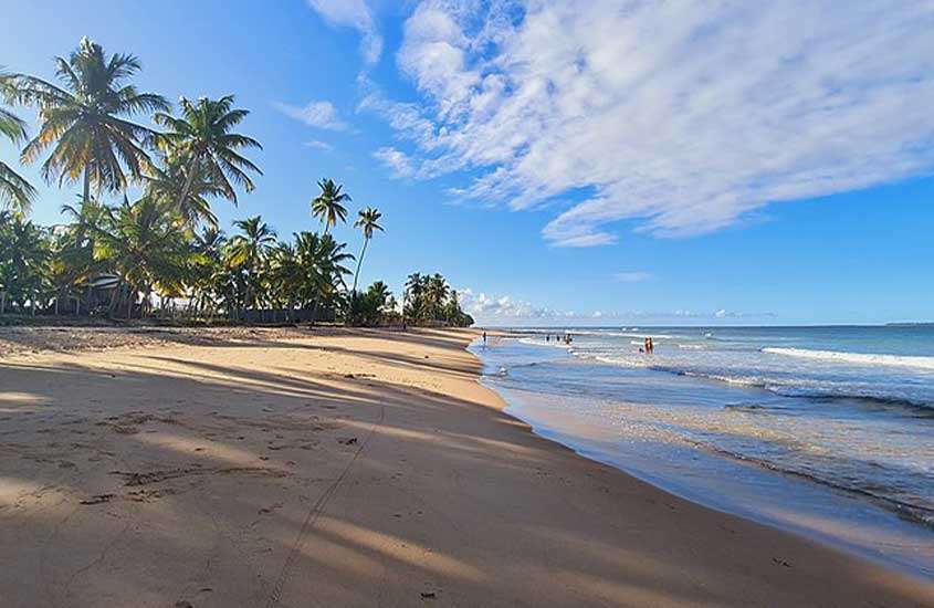 Vista panorâmica durante um dia ensolarado de coqueiros em frente a areia de Barra Grande, praias mais famosas do nordeste, localizada na Bahia.