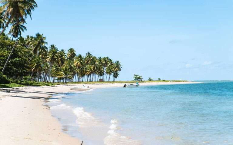 Vista panorâmica durante um dia ensolarado, com diversos coqueiros ao redor de uma das praias mais bonitas do nordeste, criando um cenário tropical paradisíaco.