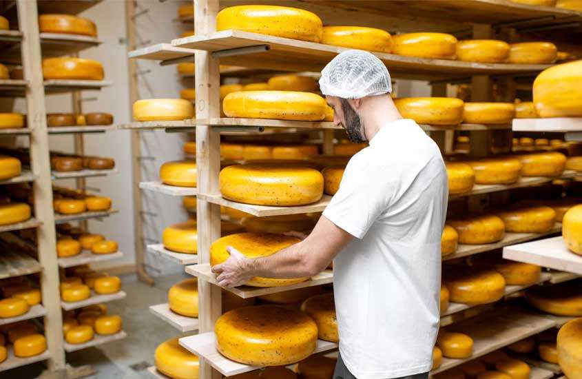 Homem manuseando queijos em fábrica