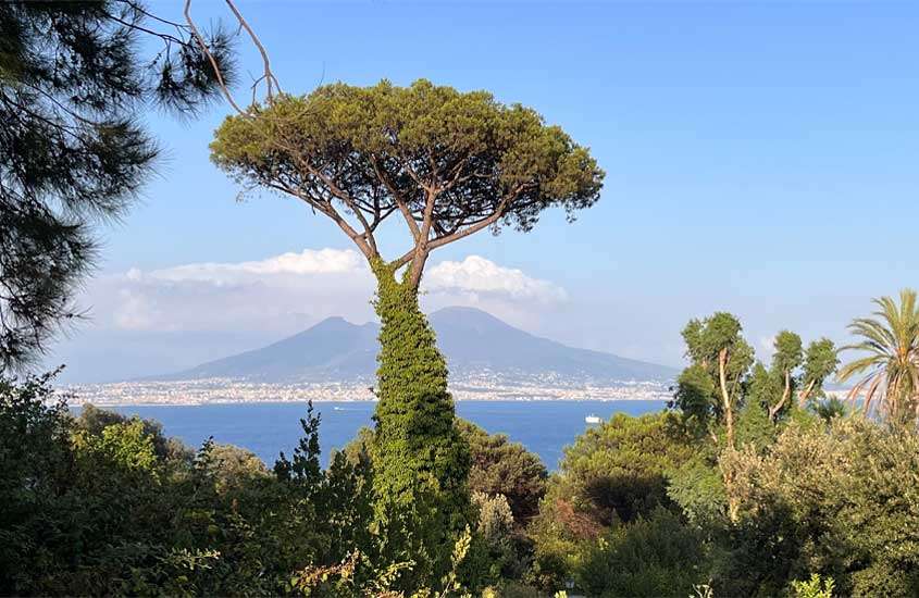 Durante o dia, visão panorâmica de Nápoles, com bastante vegetação, árvore frondosa ao centro, céu azul e montanha ao fundo