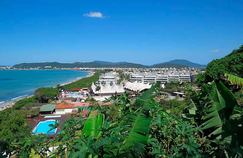 Em dia de sol, vista aérea de árvores ao redor de piscina e casas à beira-mar