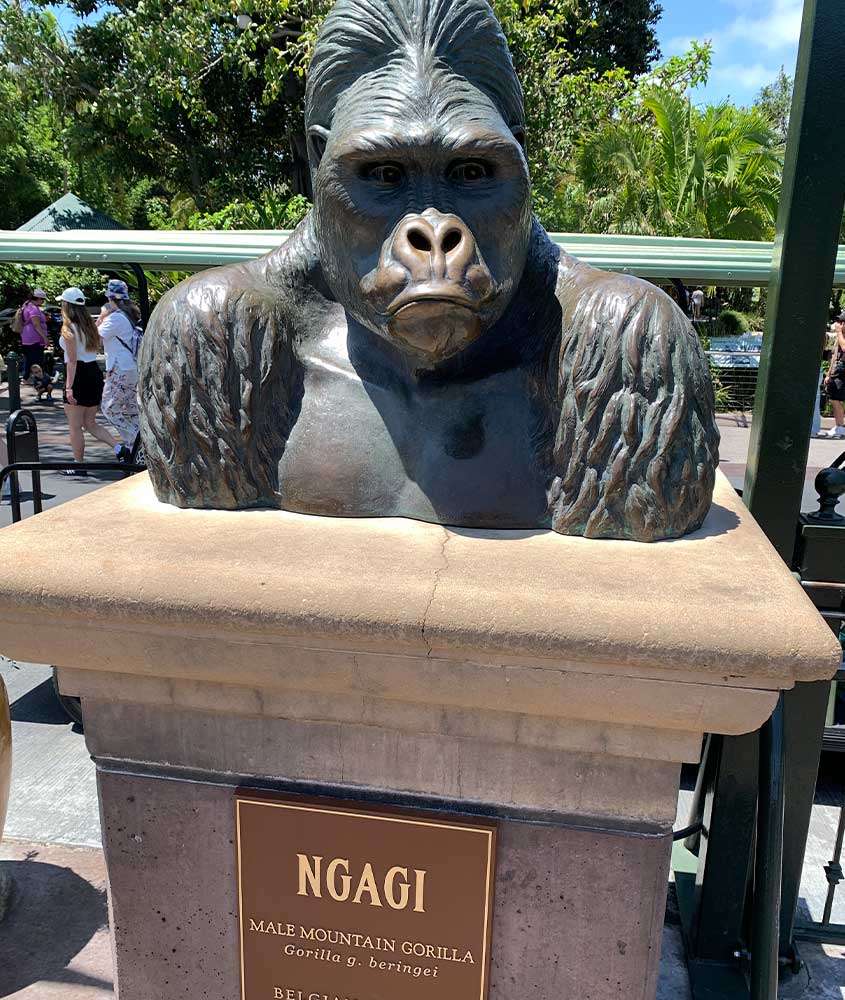 Durante dia ensolarado, estátua de gorila exposta em san diego zoo