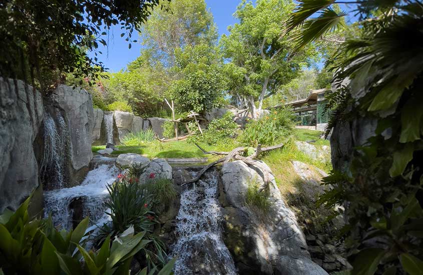 Durante dia ensolarado, cascata em ambiente arborizado de san diego zoo