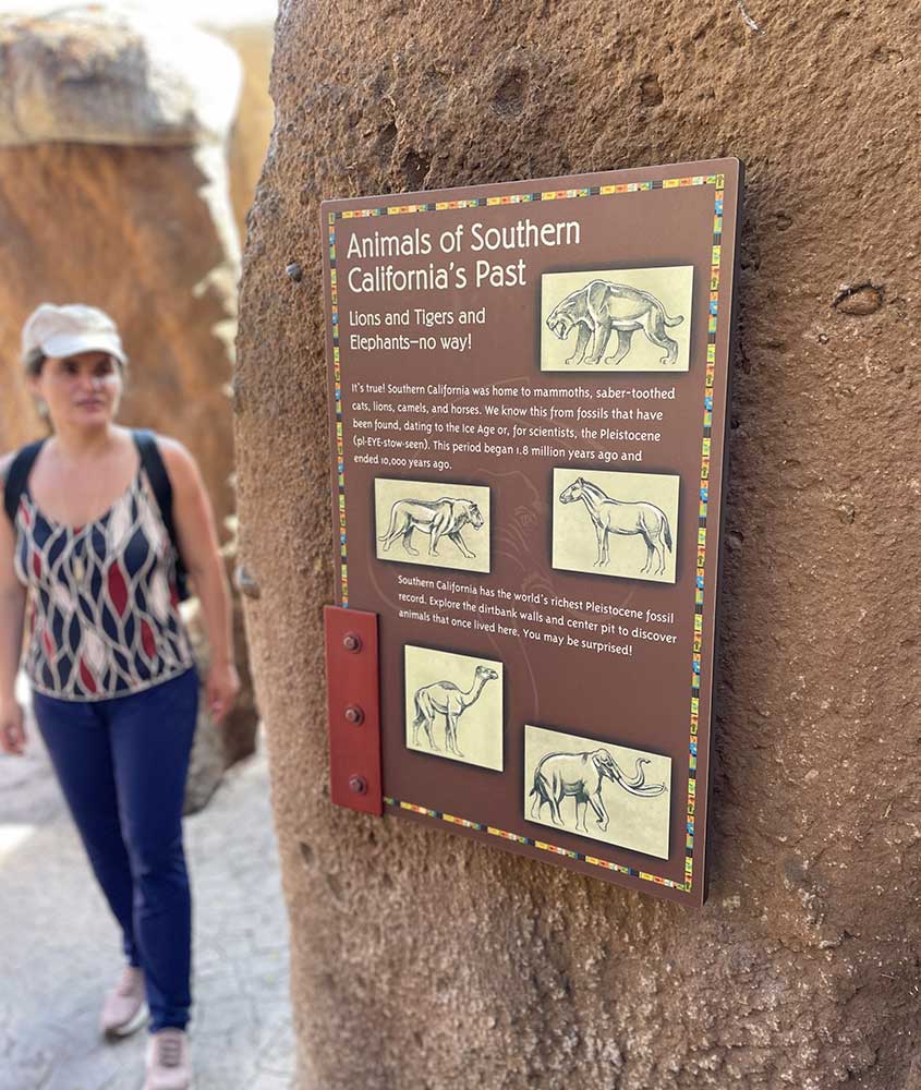 Placa informativa em um dia ensolarado no Zoológico de San Diego, fornecendo informações sobre uma atração. Ao fundo, Bárbara Rocha, com boné, blusa estampada, calça jeans e tênis, aparece embaçada, completando a cena.