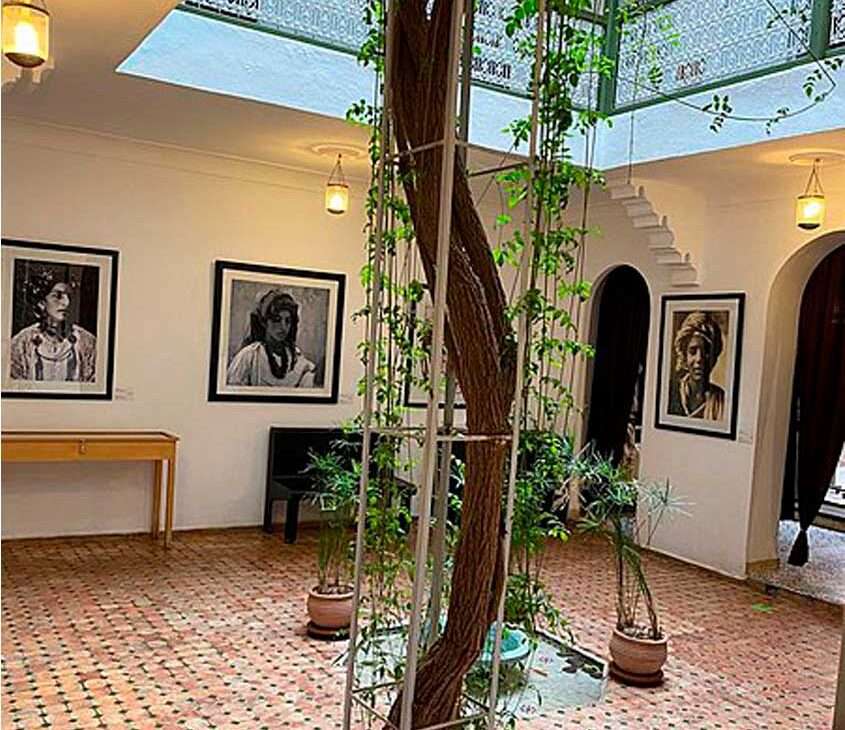 Interior do museu de fotografia com árvores no meio e vasos ornamentais