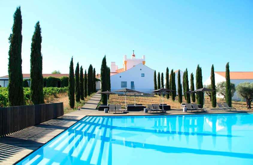 Em uma manhã de sol, área de lazer de um dos hoteis vinícolas em portugal com piscina, guarda-sóis e árvores