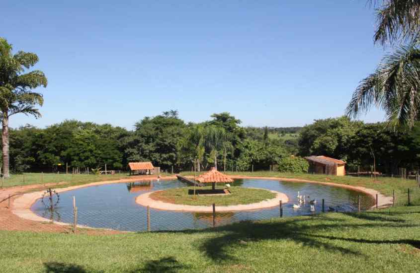 Em um dia de sol, lago artificial de um hotel fazenda perto de ribeirão preto com ilha no meio e vegetação ao redor