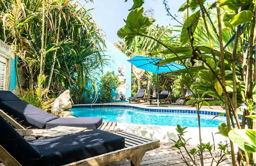 Em um dia de sol, área de lazer de um resort em curaçao com espreguiçadeiras de madeira, guarda-sol, árvores ao redor e piscina