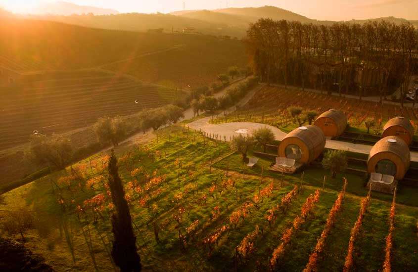 Em um dia de sol, vista aérea de Hotel vinícola Portugal com plantações de uva, chalés em forma de tonel e árvores ao redor