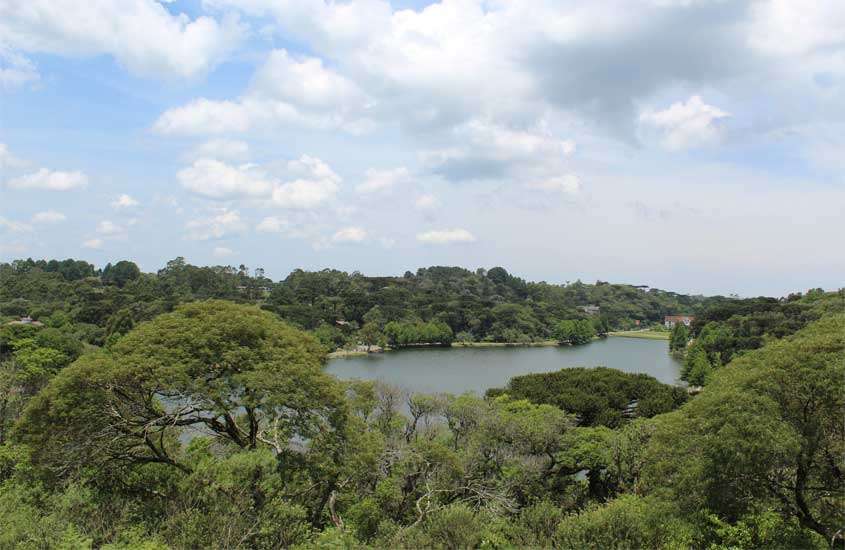 Em um dia de sol, vista aérea de um parque com árvores ao redor e lago no meio