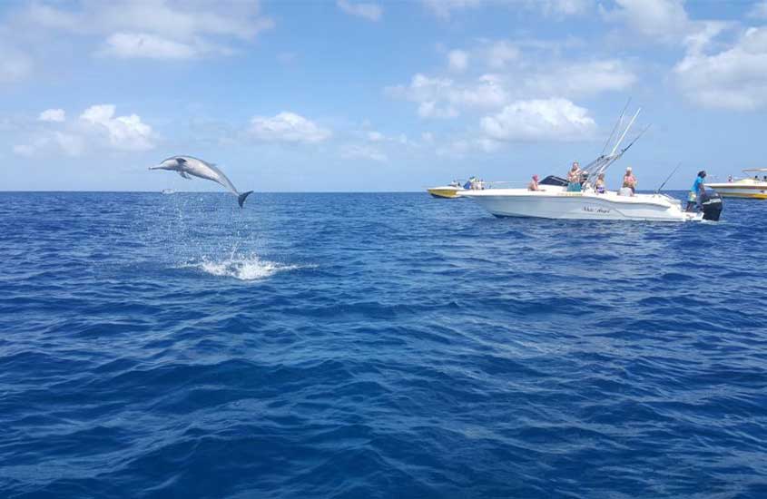 Em um dia de sol. alto-mar das ilhas maurício com golfinho pulando e lanchas com turistas