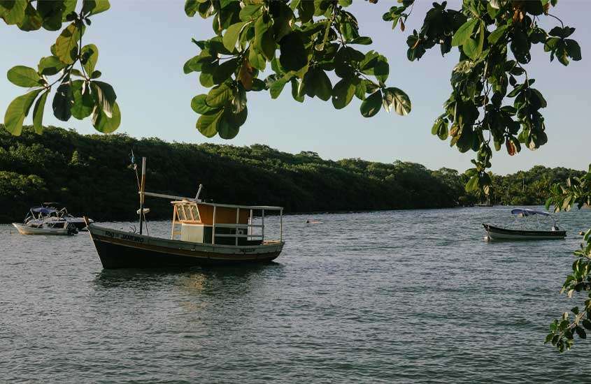 Em um dia de sol, rio de Caraíva, lugar onde ir no feriado de corpus christi, com barcos e muitas árvores em volta