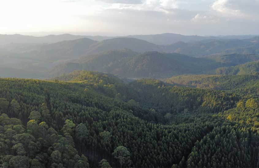 Em um dia de sol, paisagem aérea de Monte verde, um dos destino para onde viajar no feriado de corpus christi, com árvores cobrindo as montanhas