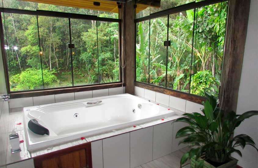 Área de banheira de um dos hotéis românticos no rio de janeiro com vaso decorativos, janelas grandes e vista da natureza