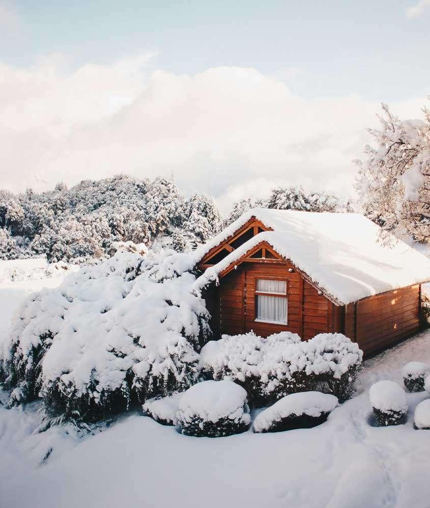 Em um dia com neve, casinha com árvores ao redor cobertas de neve