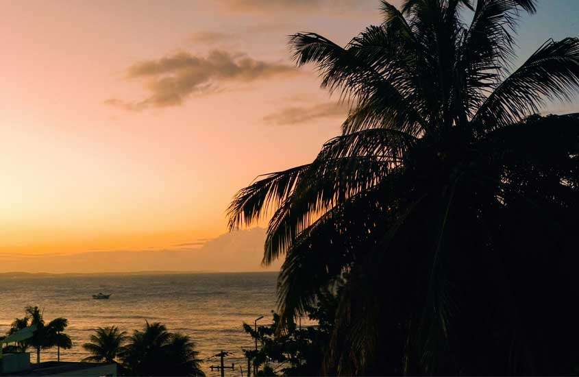 Durante o fim de tarde, paisagem da Praia da Pipa, com mar na frente e árvores ao redor
