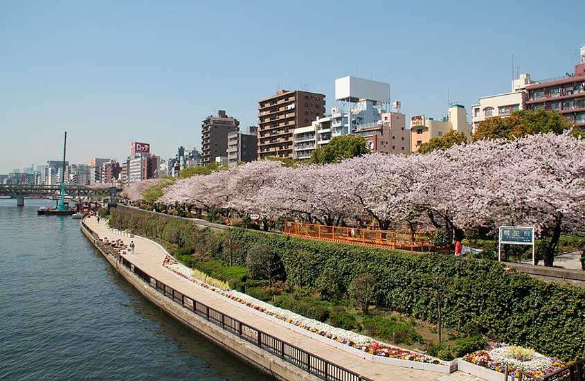 Em uma manhã ensolarada, parque em Asakusa com plantas, árvores, mar ao redor e cidade do lado
