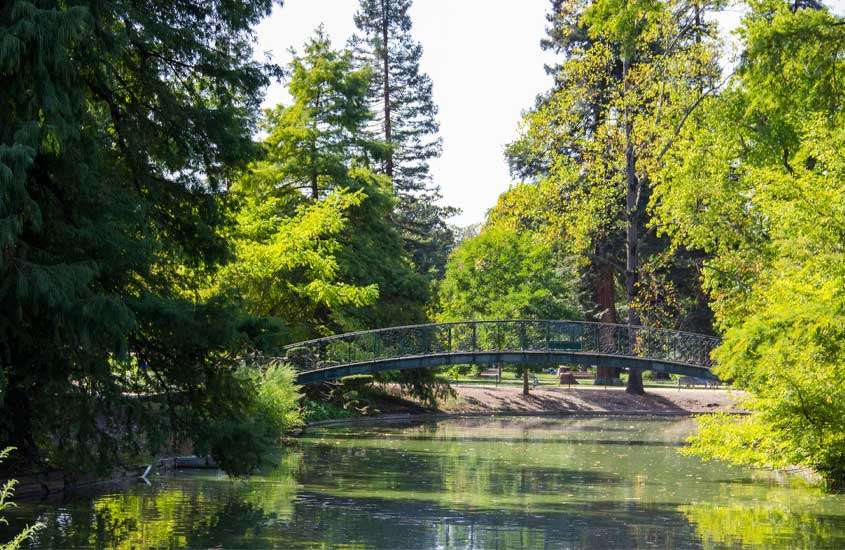 Em um dia de sol, parque em bordeaux com ponte, árvores e lago