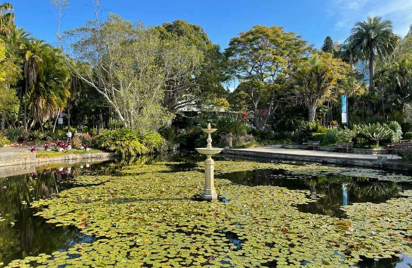 Em um dia de sol, interior de um parque que é um dos pontos turísticos de Sydney com lago, plantas e árvores ao redor