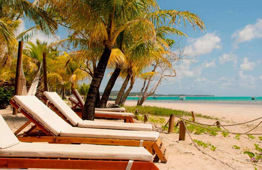 Em um dia de sol, praia privativa do hotel com espreguiçadeiras de madeira, árvores ao redor e mar do lado
