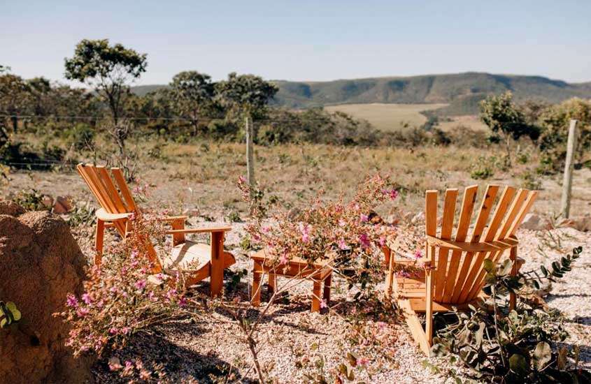 Em um dia ensolarado, cadeiras e mesa de madeira com vegetação ao redor