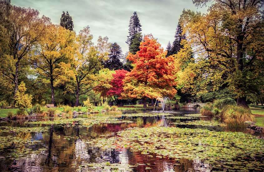 Em um dia nublado, parque em queenstown durante o outono com árvores e folhagens coloridas