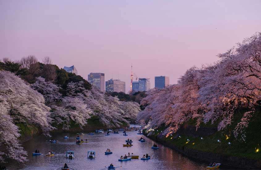 Durante o entardecer um dos pontos turísticos para conhecer tokyo com diversos barcos e árvores coloridas