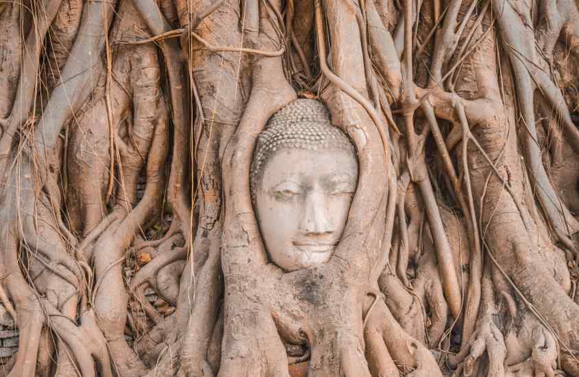 Cabeça de Buda em meio as raízes, um dos pontos turísticos na Tailândia
