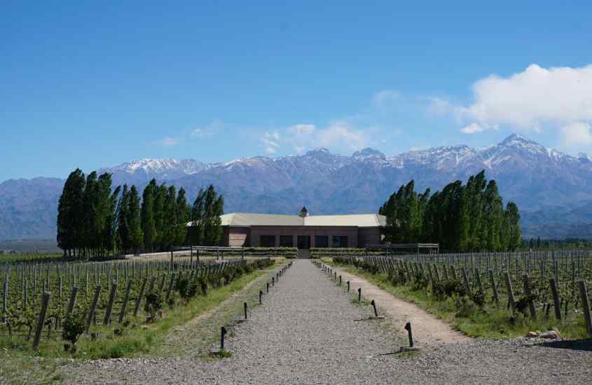 Em um dia de sol, vinícola de Mendoza com montanhas atrás e árvores ao redor, uma das cidades para passar o réveillon na Argentina