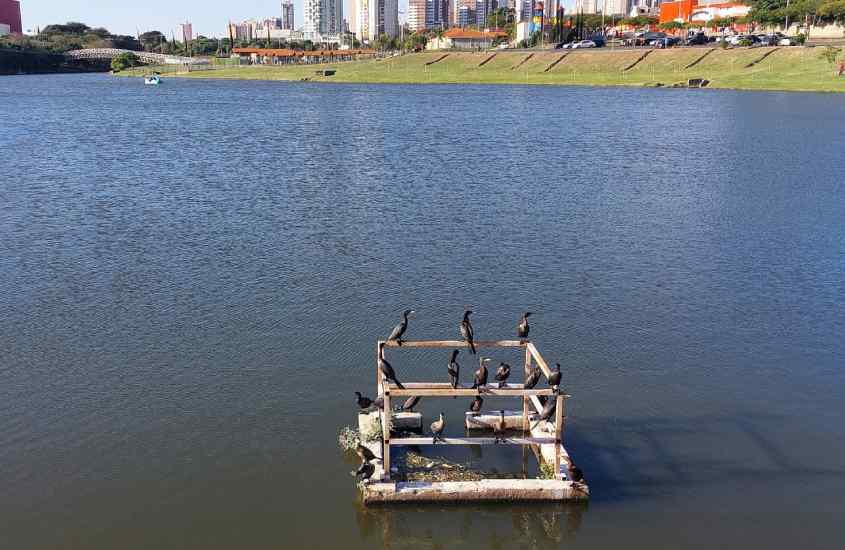 Em um dia de sol, lago de um parque em Indaiatuba, uma cidade perto do hopi hari com parte gramada e prédios ao redor